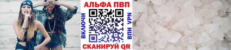 APVP СК КРИС  Пошехонье 