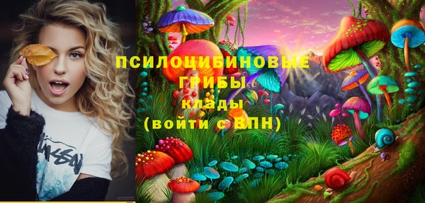 mdpv Михайловск