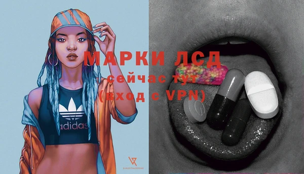 гашик Михайлов