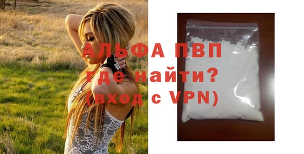 гашик Михайлов