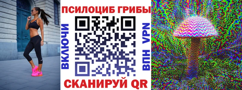 Галлюциногенные грибы MAGIC MUSHROOMS  где купить   Пошехонье 
